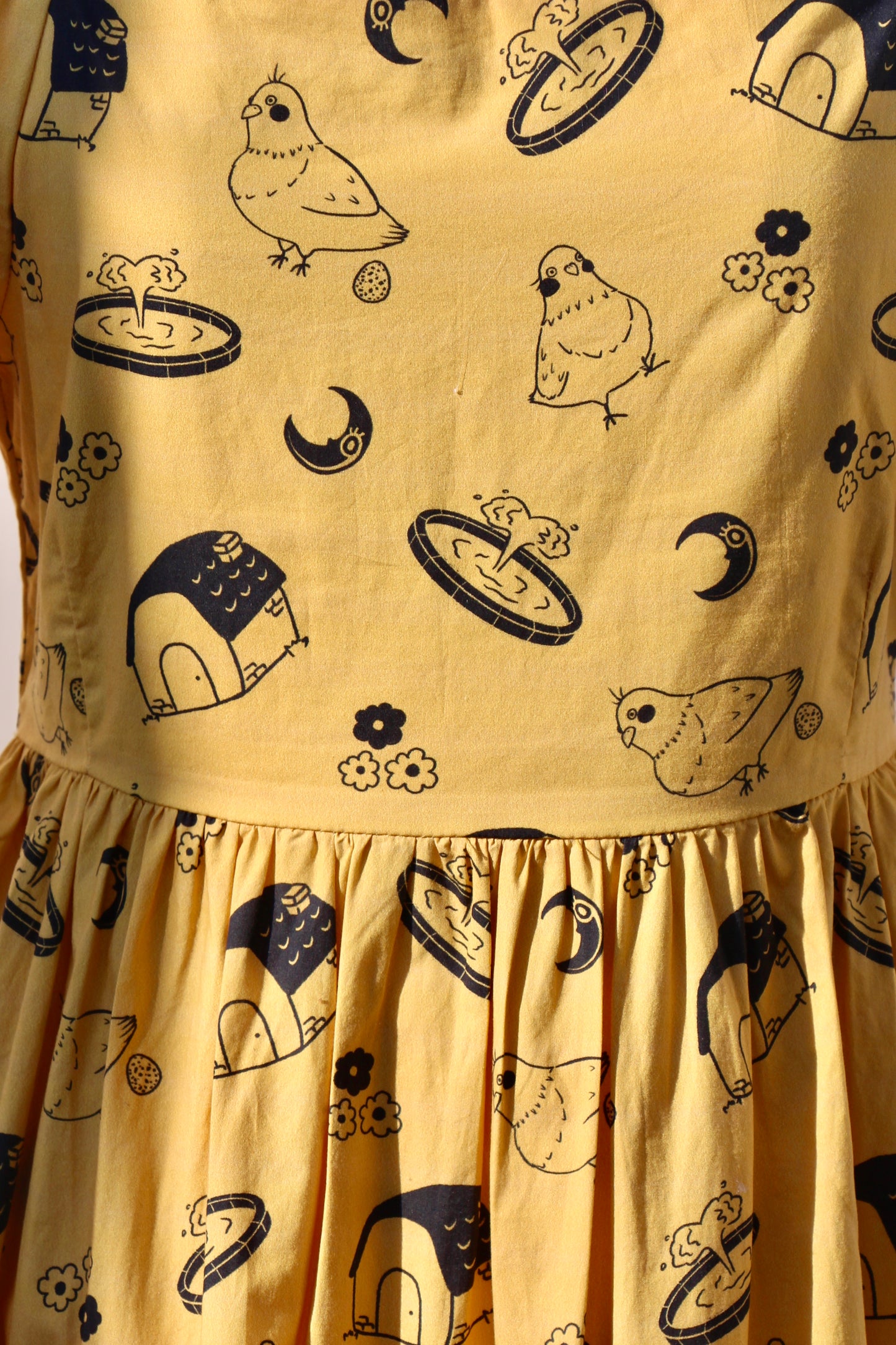 Pigeon Dress
