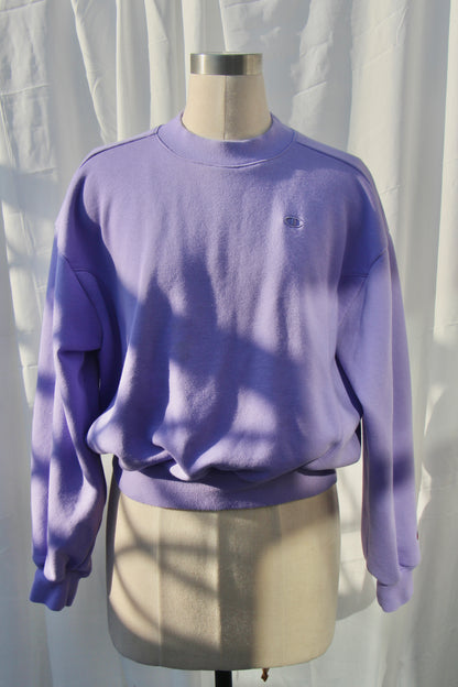 Champion Sweater